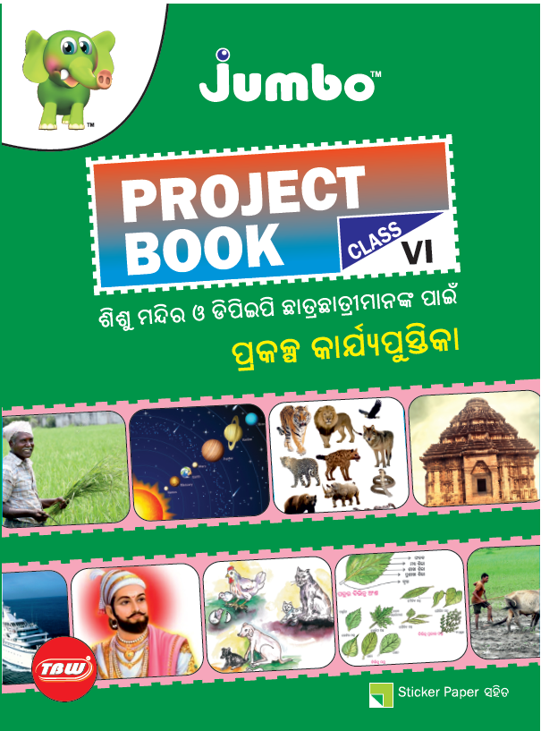 Jumbo Project Books